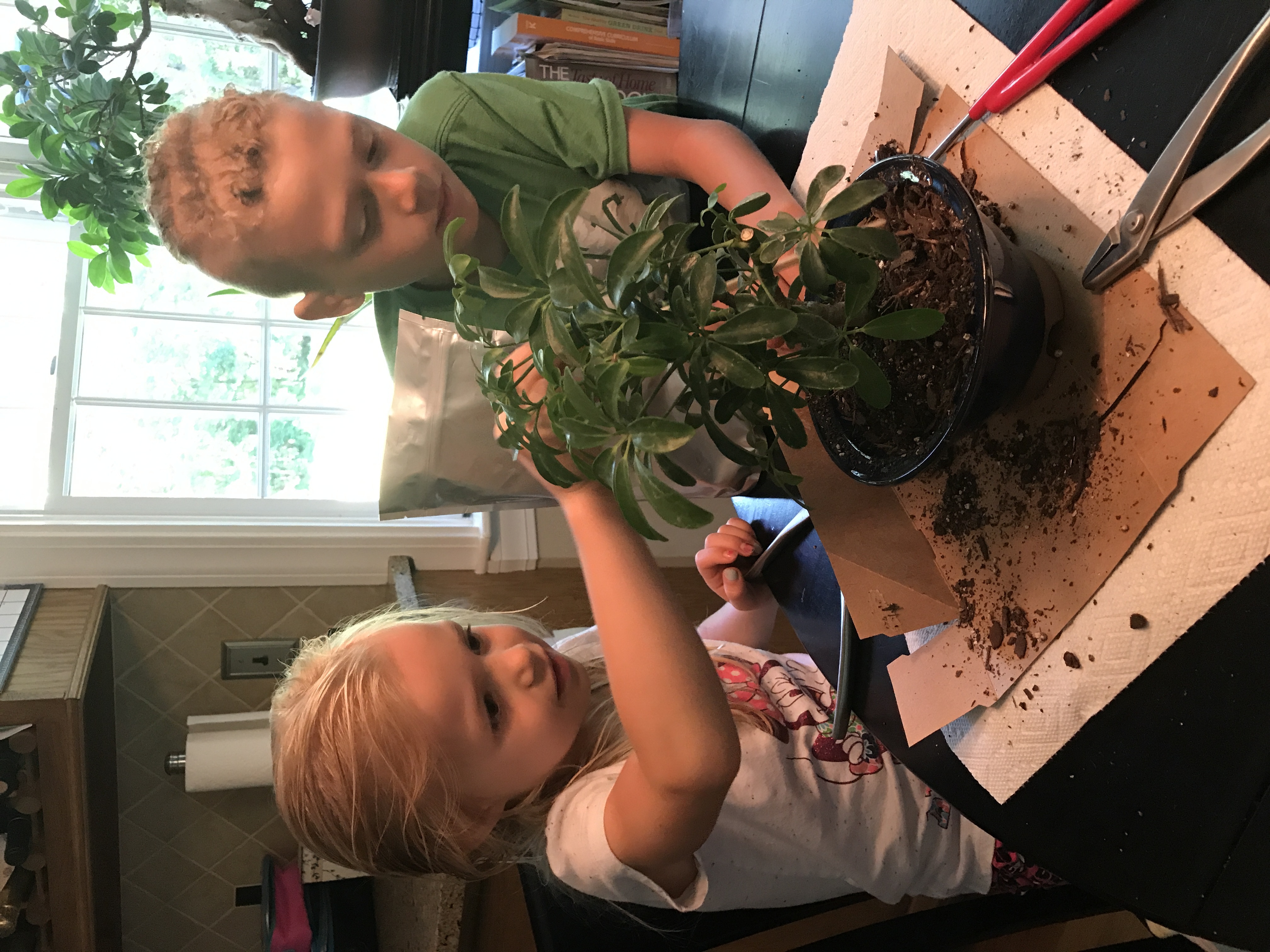Leah and Shane working on a bonsai tree